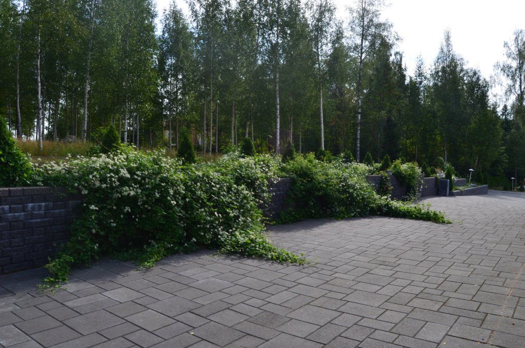 Kivimuuri — luonnonkivimuuri Uudellamaalla